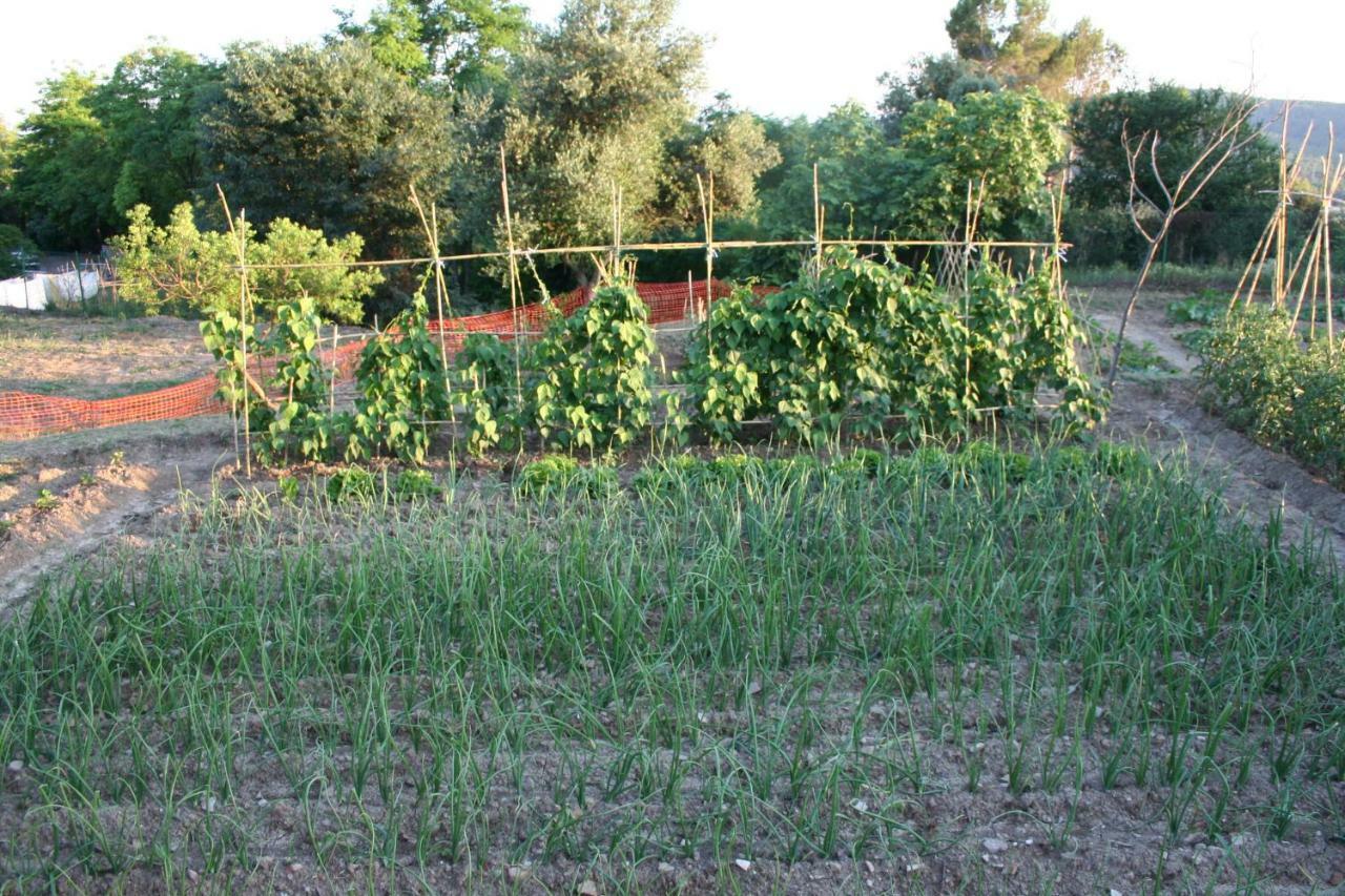 Гостевой дом Mas Tulsa Casa Rural Girona Riudellots de la Creu Экстерьер фото